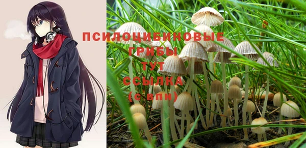 mdpv Вязьма