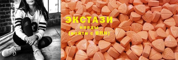 шишки Горняк