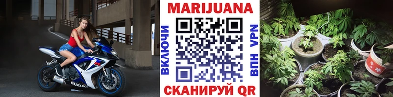 Купить закладки  Соль-Илецк  Бошки Шишки Bruce Banner 